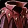 Robes of the Disgraced Thane icon