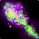Improved Shadow Bolt icon